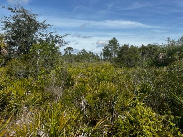 50980 & 50982 Bermont Rd Property Photo 8