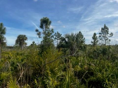 50980 & 50982 Bermont Rd Property Photo 10