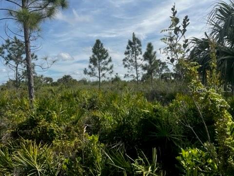 50980 & 50982 Bermont Rd Property Photo 12