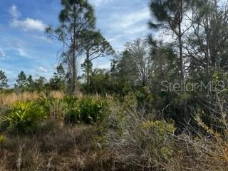 50980 & 50982 Bermont Rd Property Photo 15
