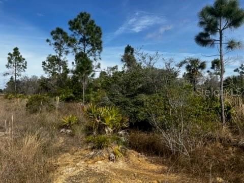 50980 & 50982 Bermont Rd Property Photo 16