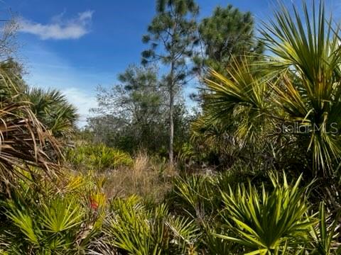 50980 & 50982 Bermont Rd Property Photo 17