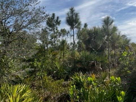 50980 & 50982 Bermont Rd Property Photo 18