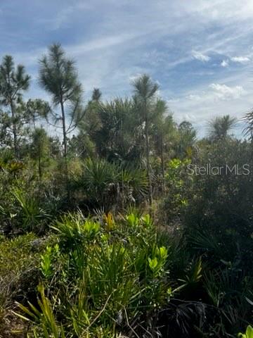 50980 & 50982 Bermont Rd Property Photo 19