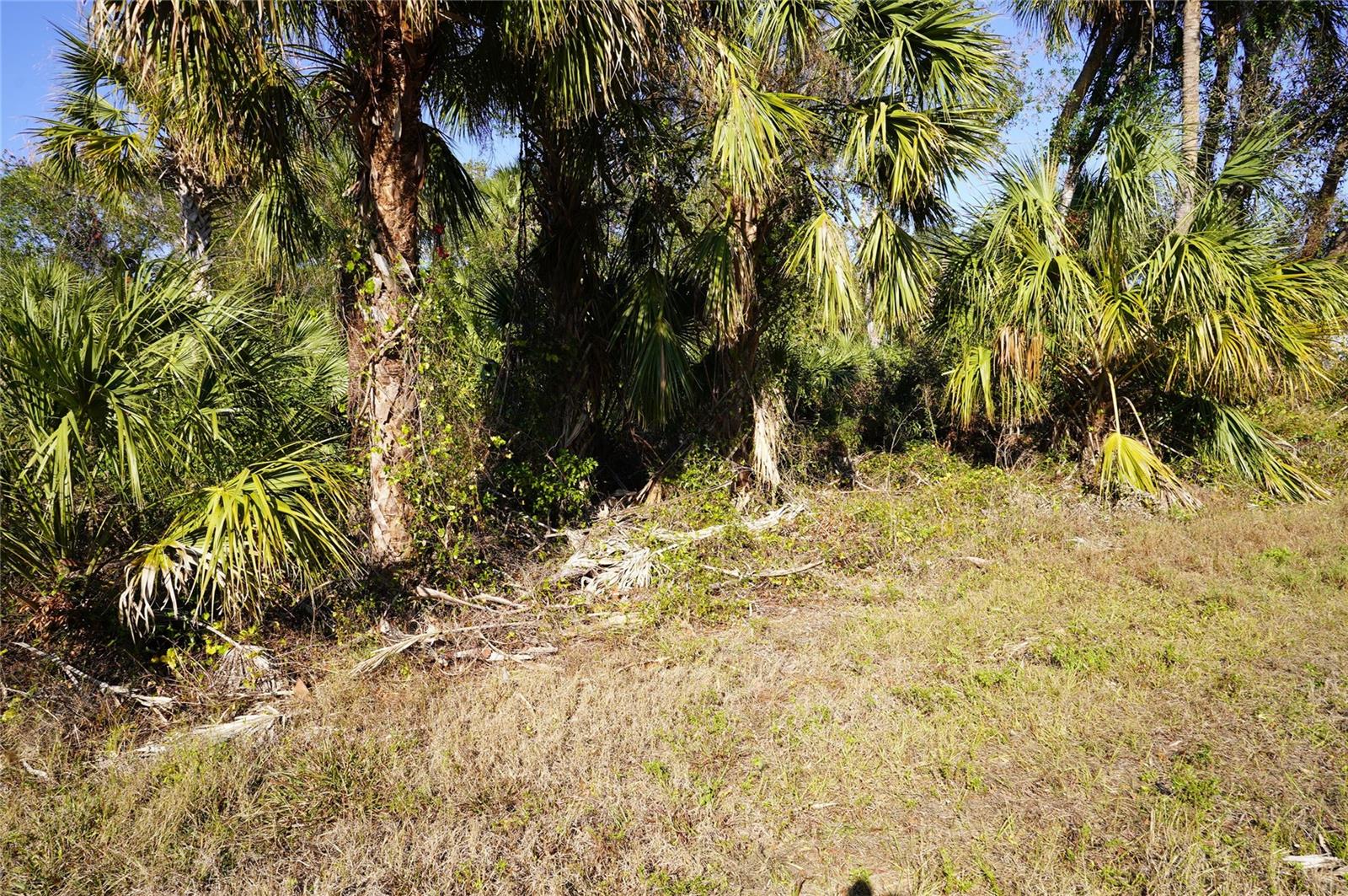16150 Arcaro Ave Property Photo 1