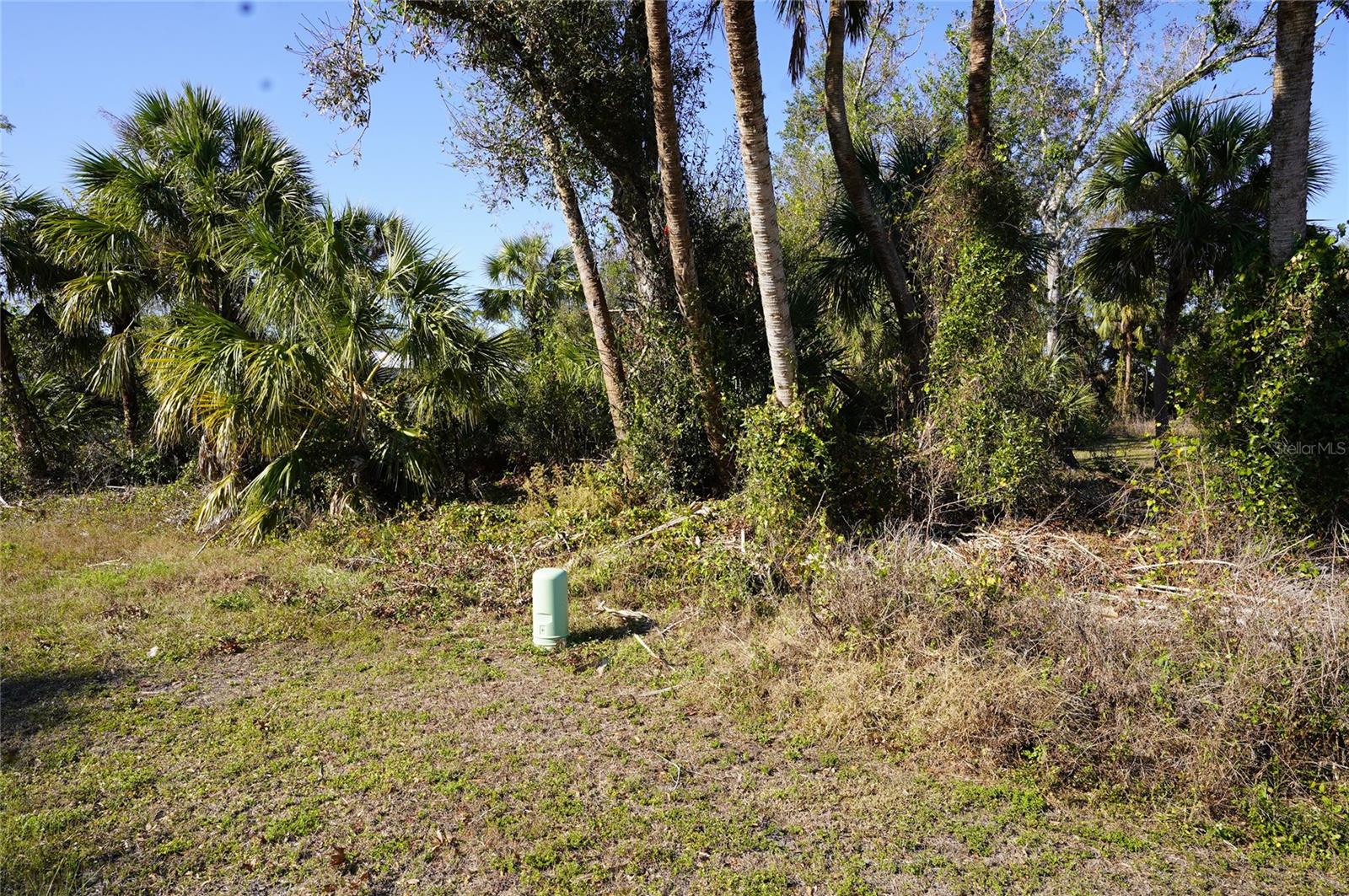 16150 Arcaro Ave Property Photo 3