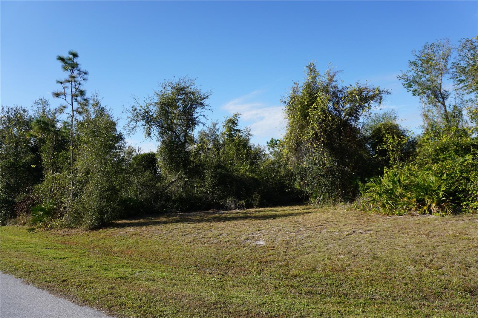 323 Hiram St Property Photo 4