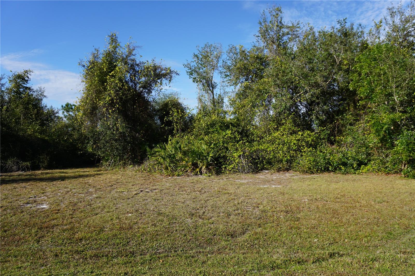 323 Hiram St Property Photo 7