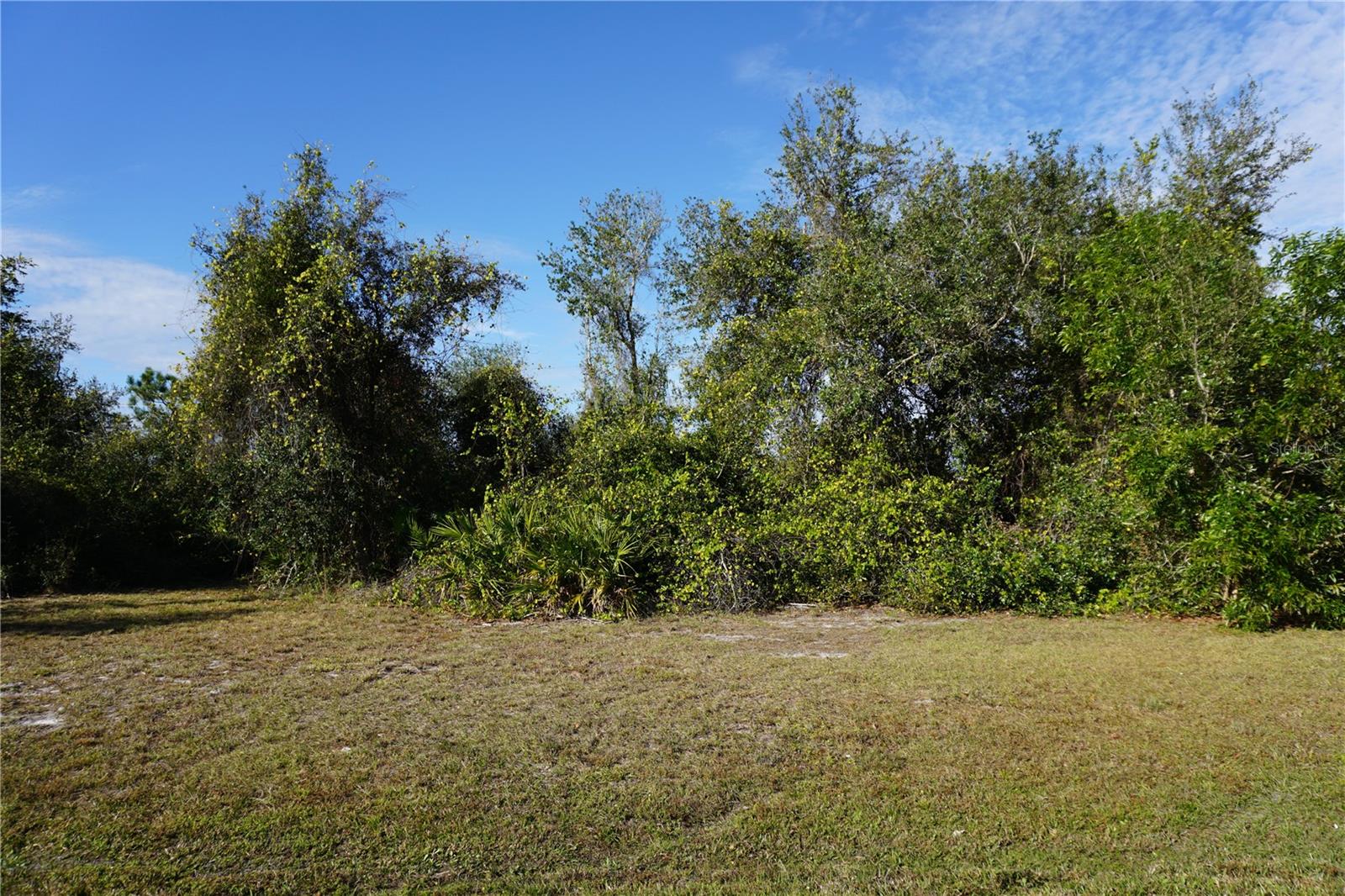 323 Hiram St Property Photo 8