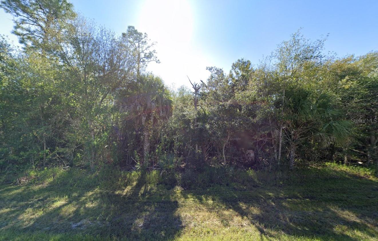 23177 Troy Ave Property Photo 3