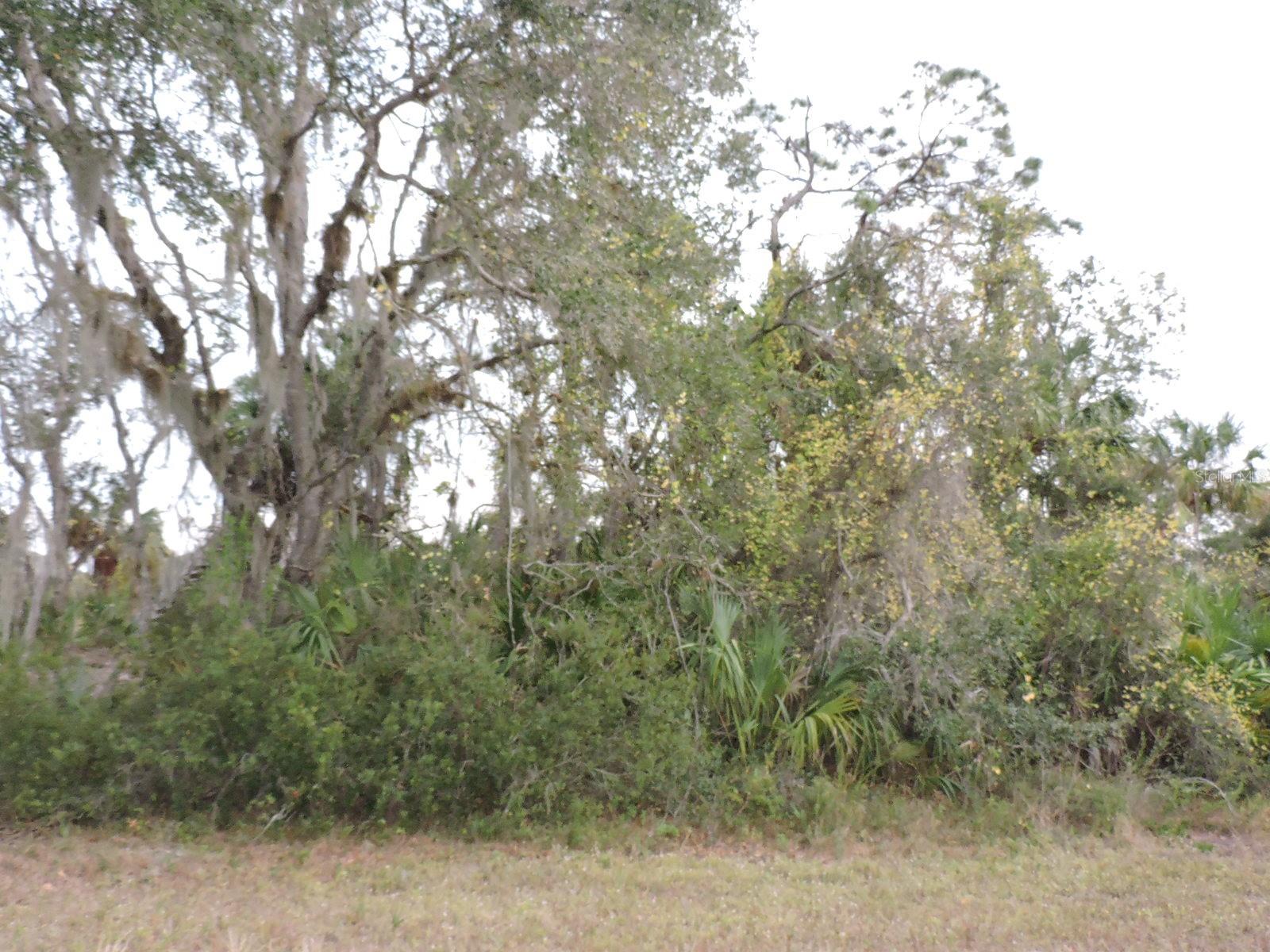 1012 Bowman Ter Property Photo 1