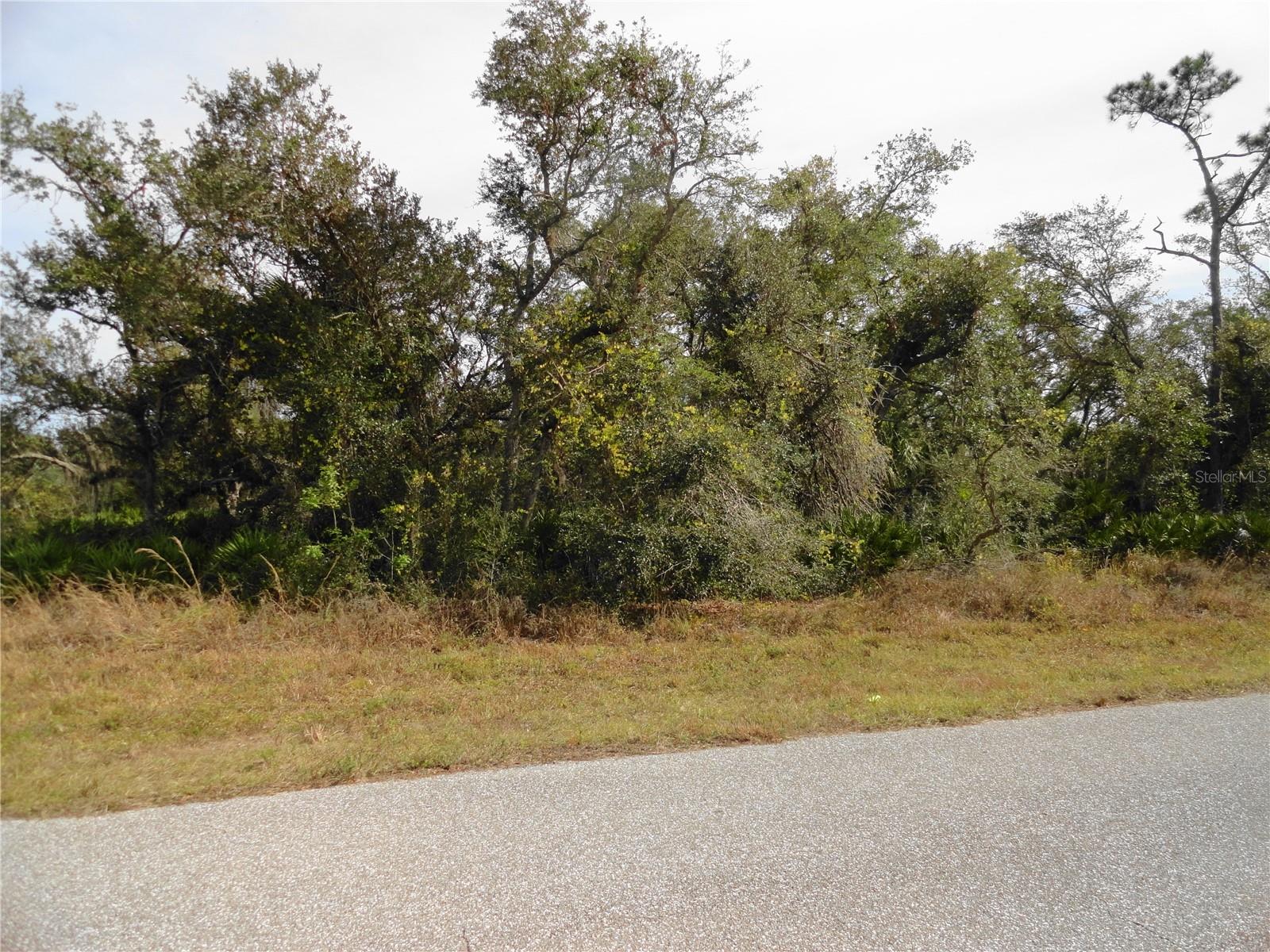 17043 Arthur Ave Property Photo 3
