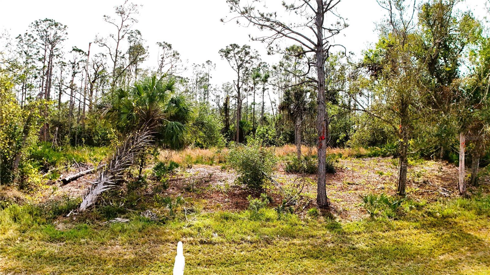 1284 Rambler Ter Property Photo 1