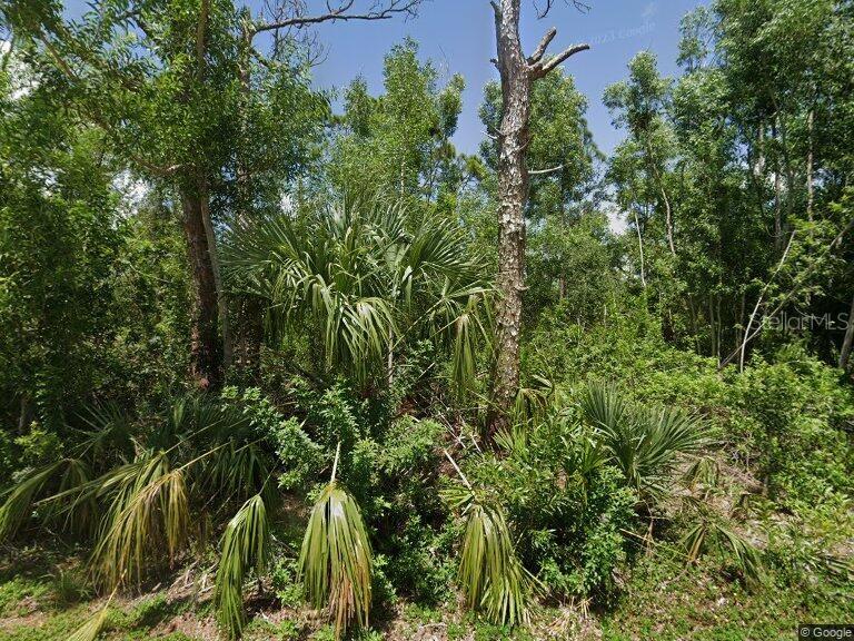 28210 S Twin Lakes Dr Property Photo 1