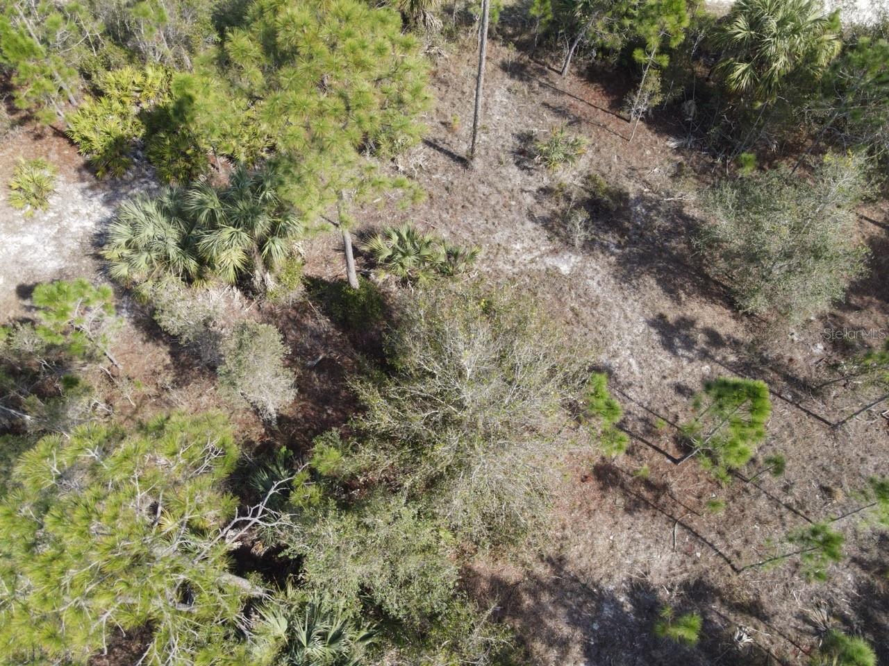 13647 Carousel Dr Property Photo 3