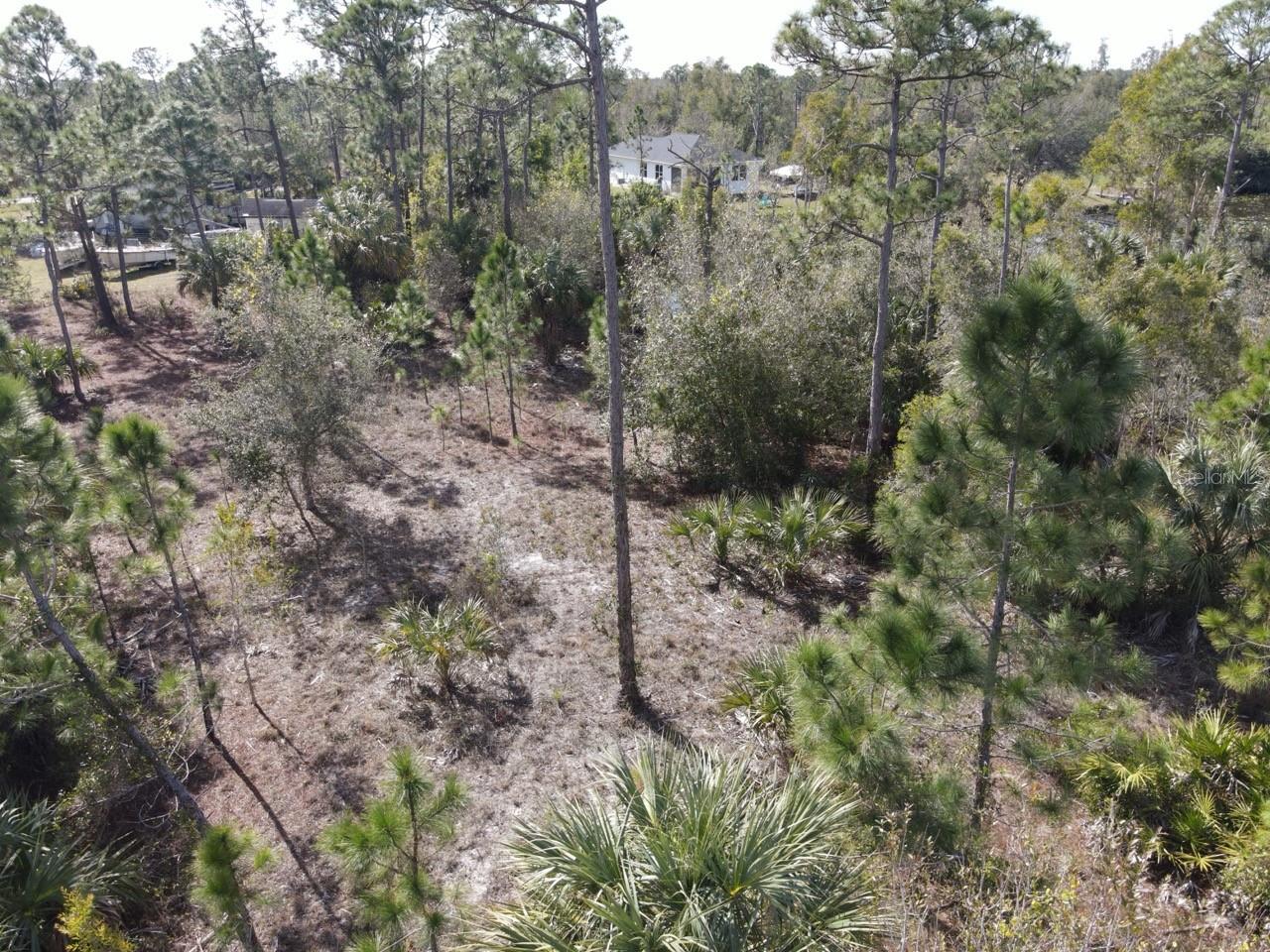 13647 Carousel Dr Property Photo 4