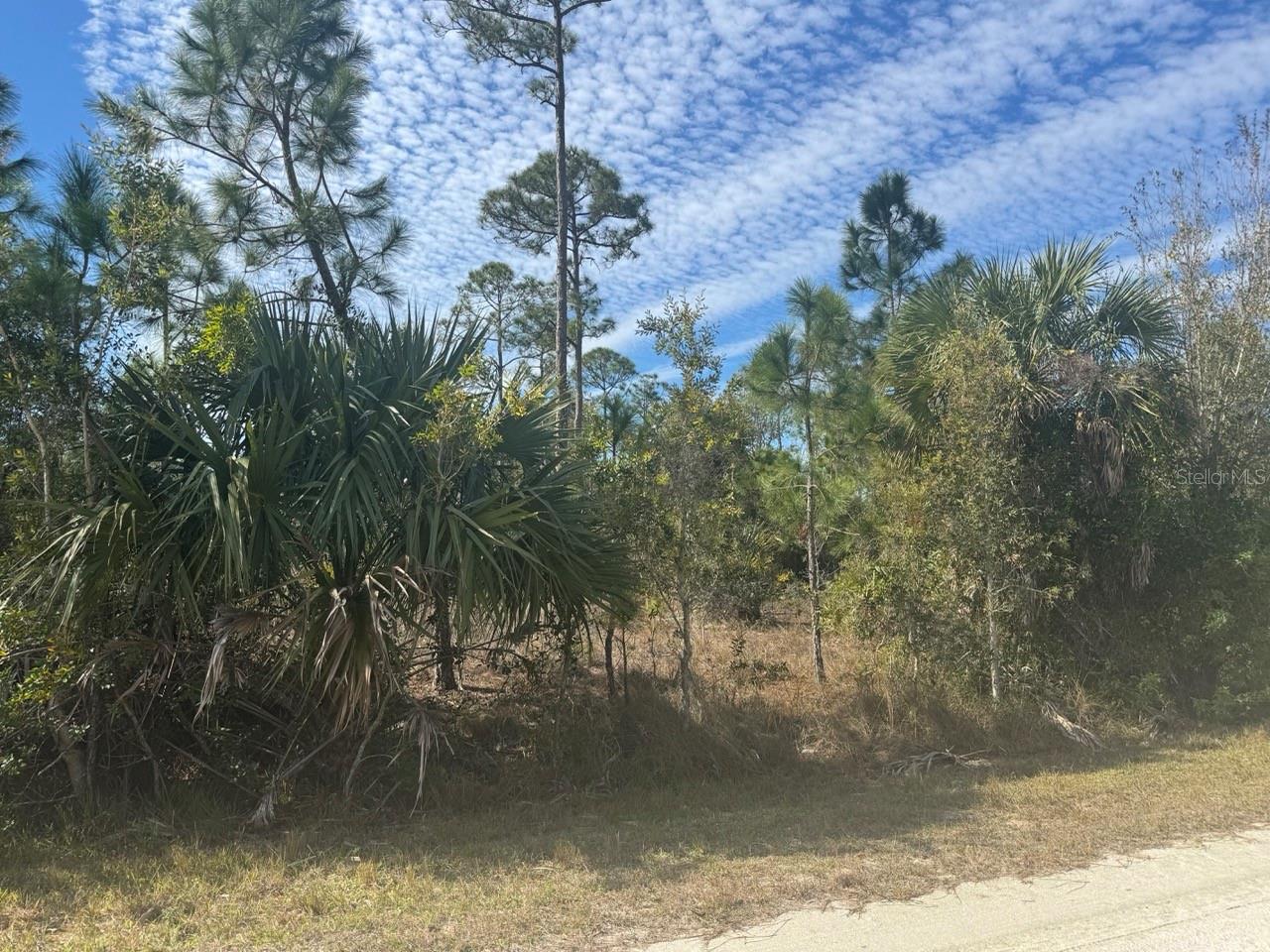 13647 Carousel Dr Property Photo 8