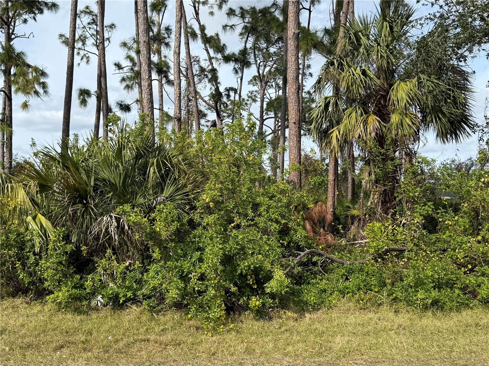 18106 Wintergarden Ave Property Photo 1