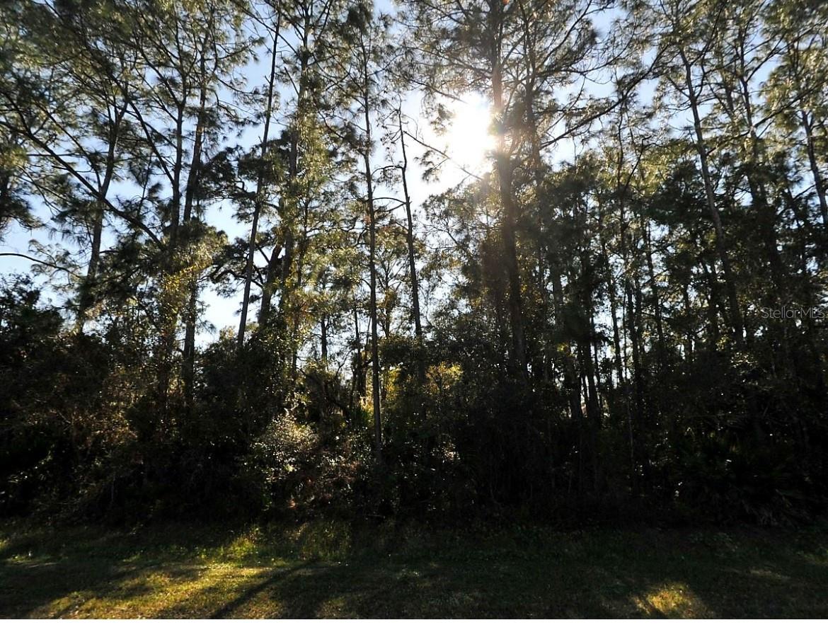 N Cranberry Blvd Property Photo 3