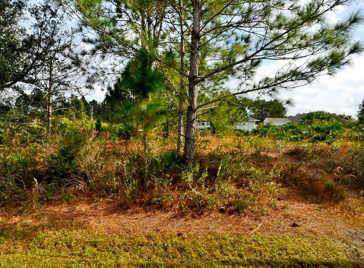 Cordova Ter Property Photo 3