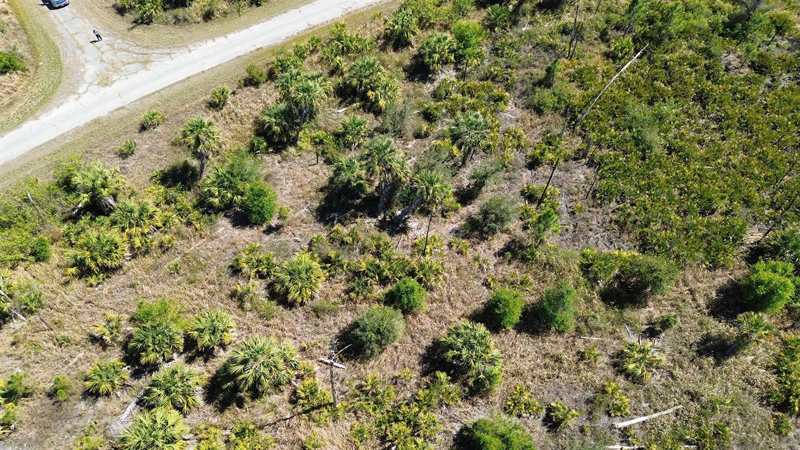 Farview Dr Property Photo 5