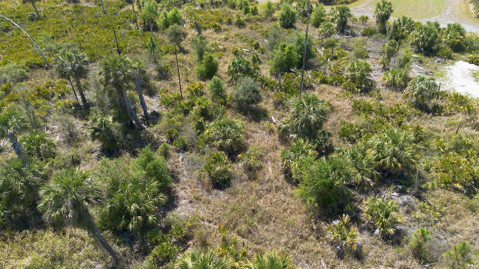 Farview Dr Property Photo 8