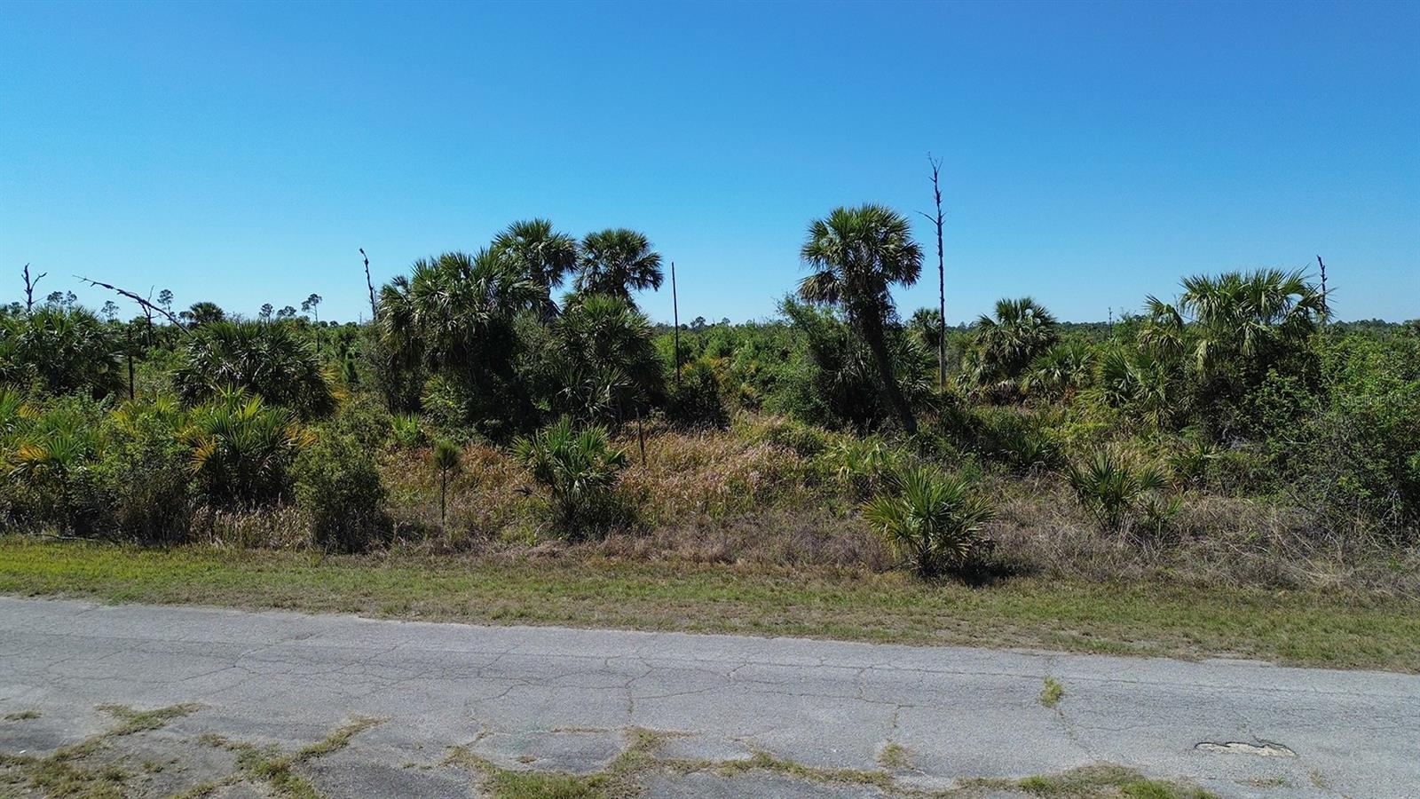 Farview Dr Property Photo 10