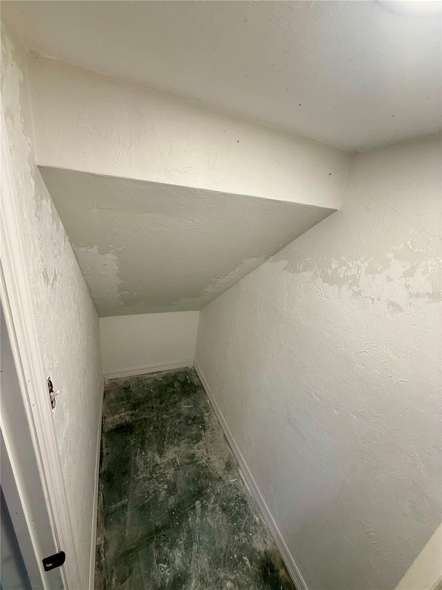 121 E Mckenzie St Property Photo 43