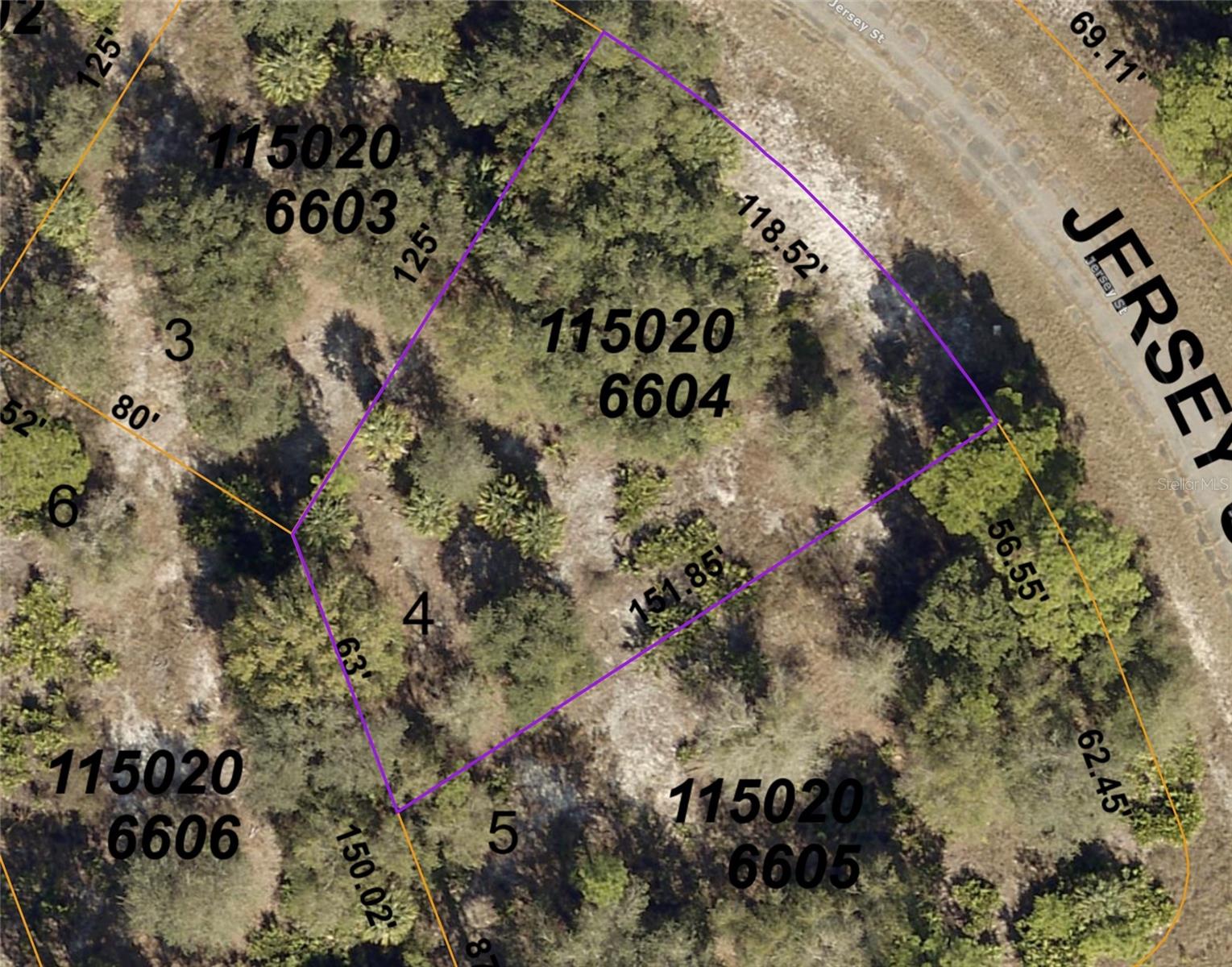 Jersey St Property Photo 3