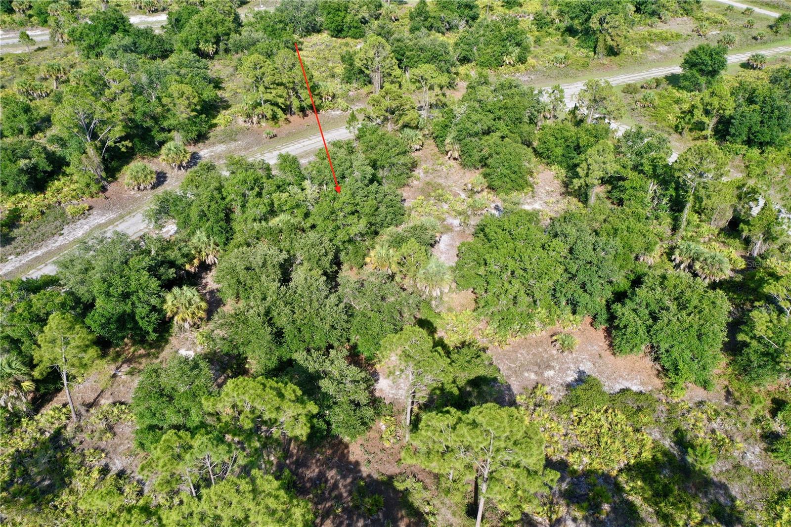 Jersey St Property Photo 14