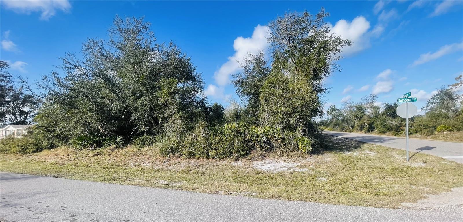 235 Dahoon Blvd Property Photo 1