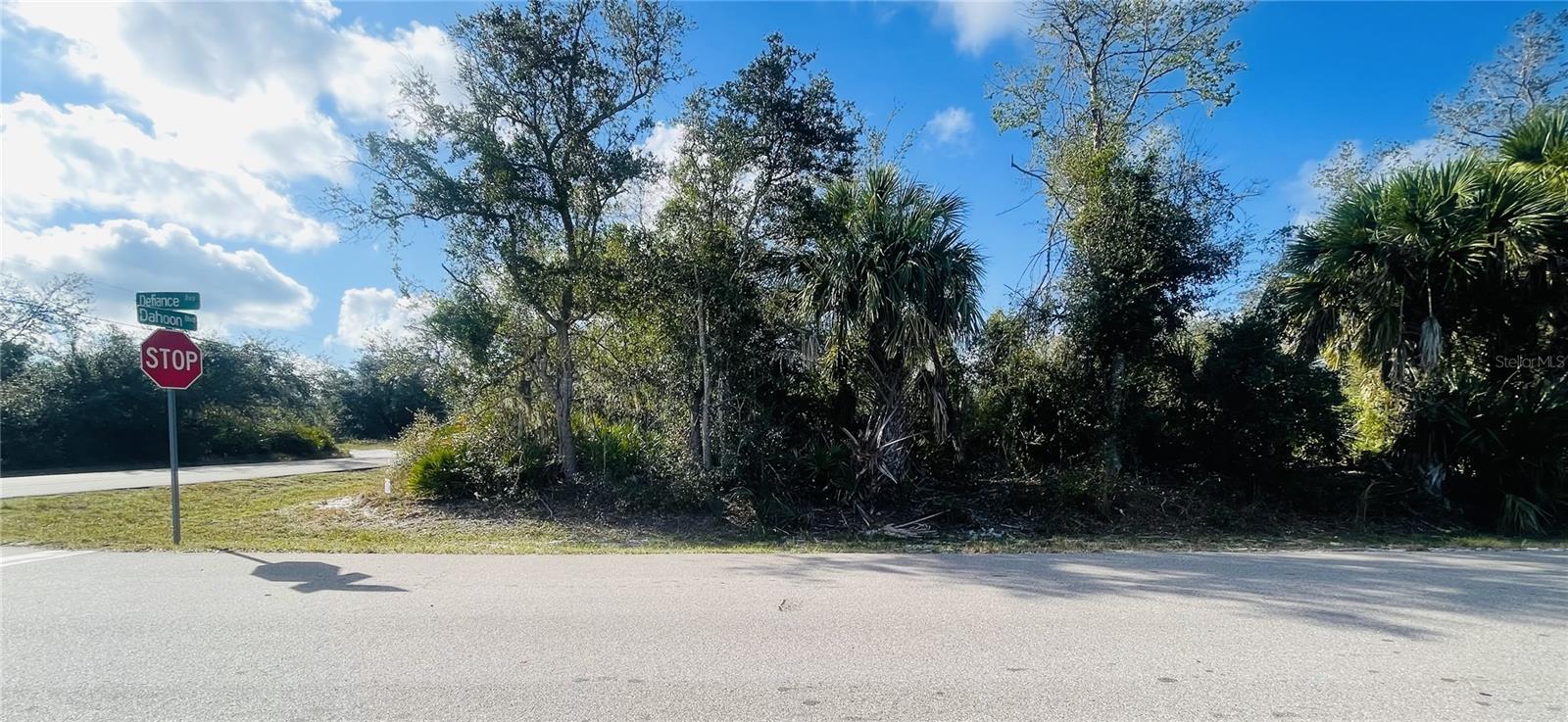 235 Dahoon Blvd Property Photo 3