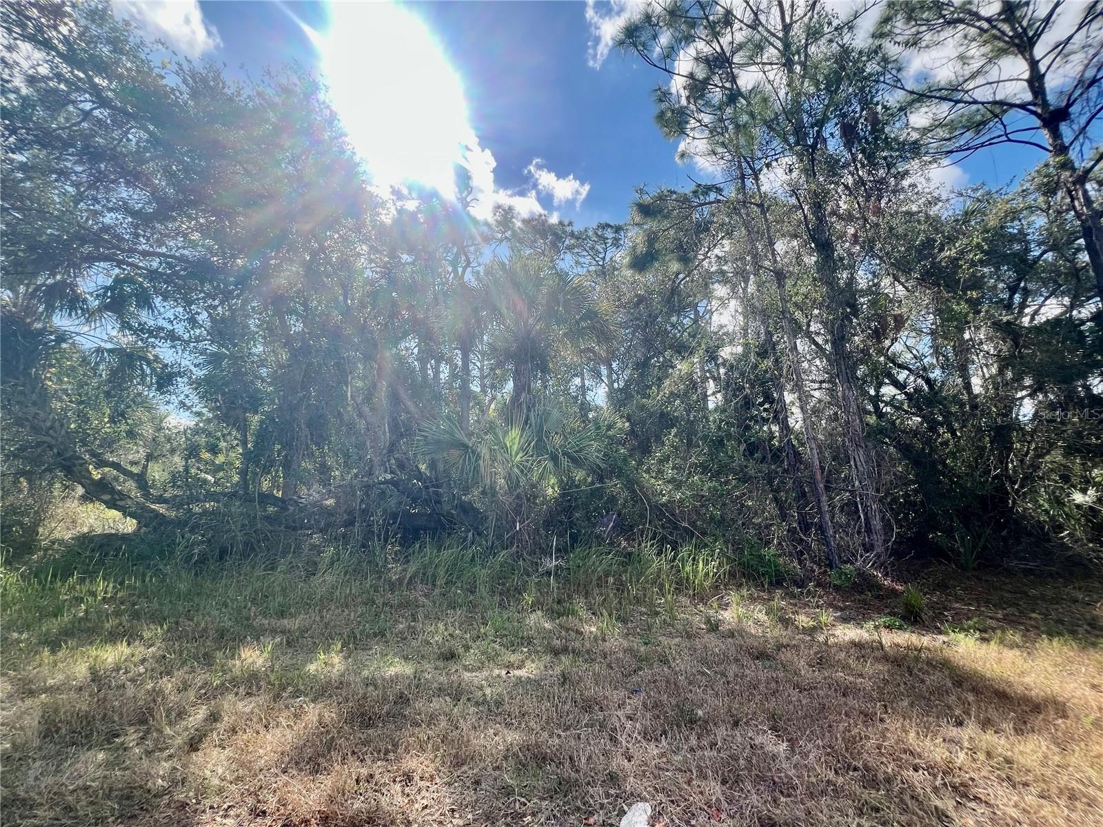 Lot 8 Abbeville Rd Property Photo 1