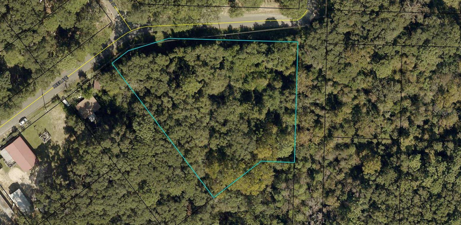 Reed Ave Property Photo