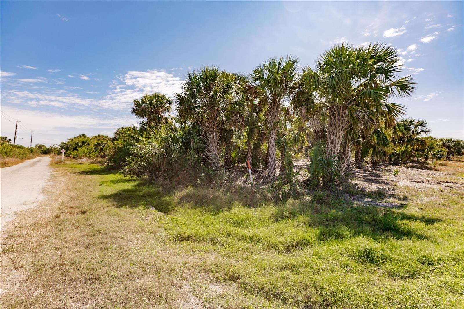 19155 Midway Blvd Property Photo 19