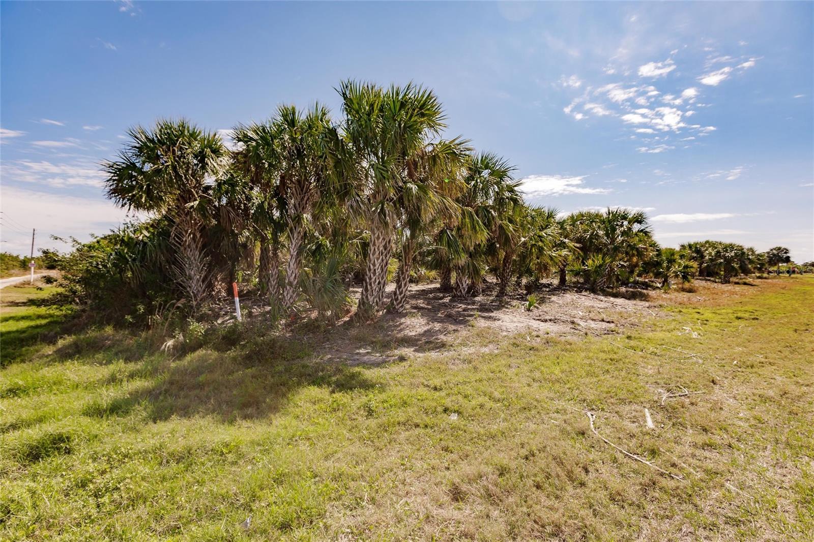 19155 Midway Blvd Property Photo 23