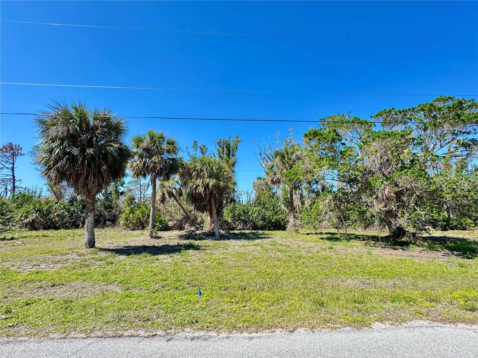 50 Cobia Dr Property Photo 1