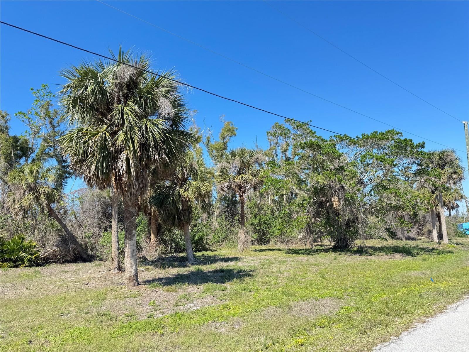50 Cobia Dr Property Photo 5