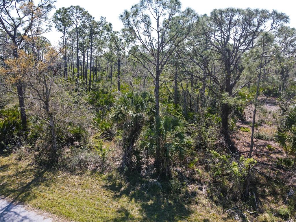 15179 Watkins Ave Property Photo 5
