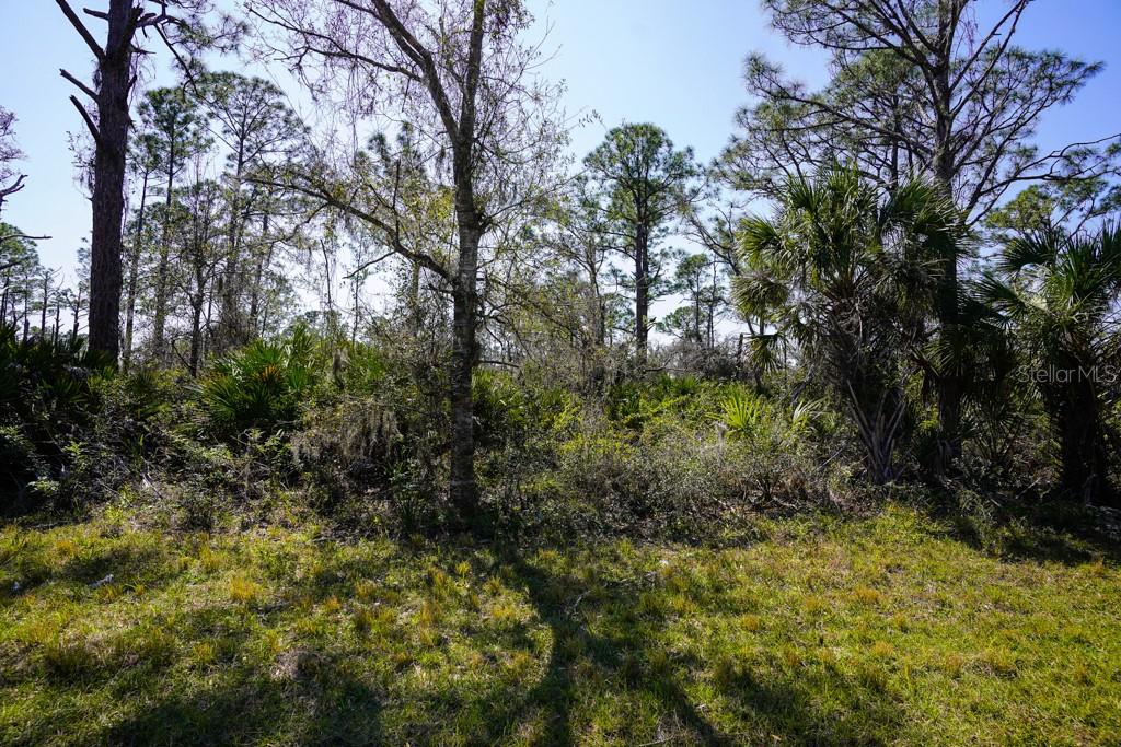 15179 Watkins Ave Property Photo 7