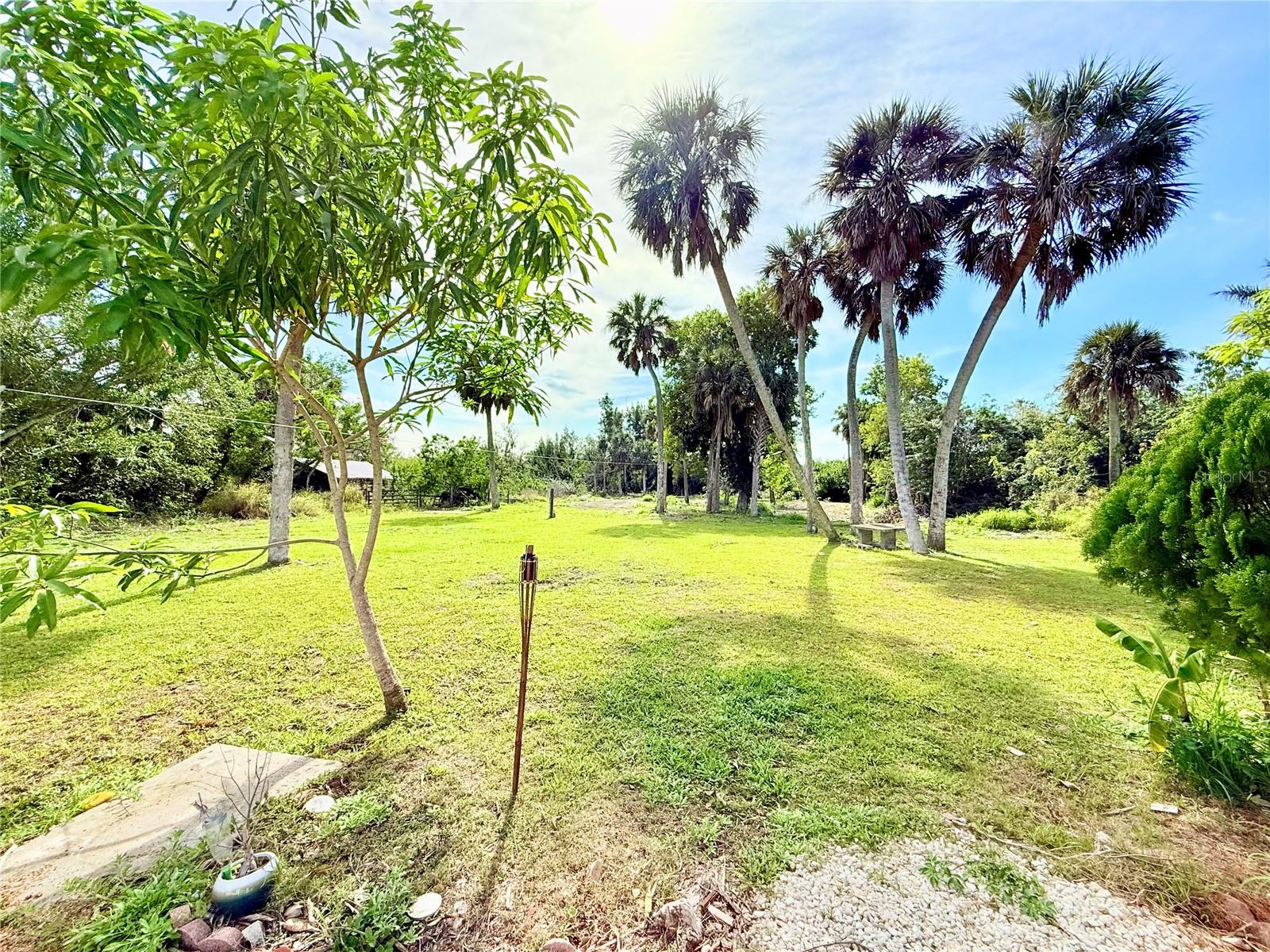 2715 Taylor Rd Property Photo 23