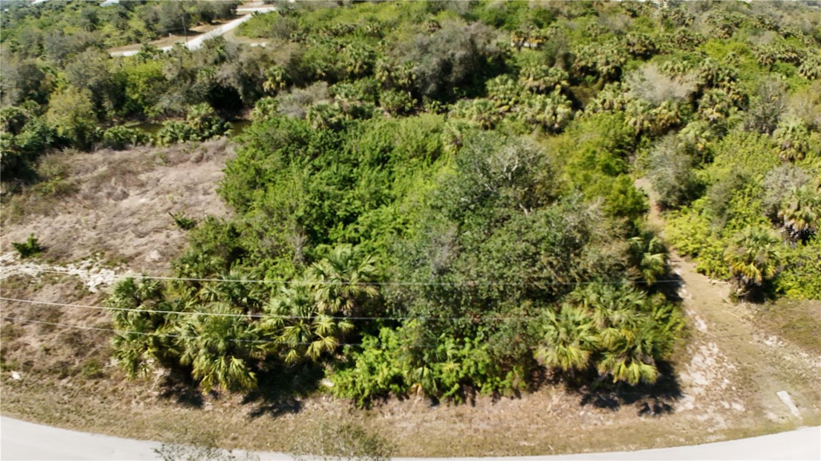 115 Santa Marta St Property Photo 8