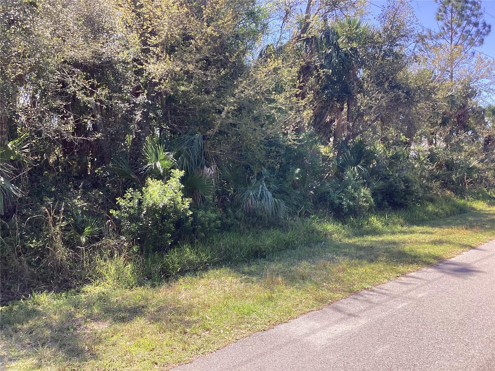 Belleville Ter Property Photo 1