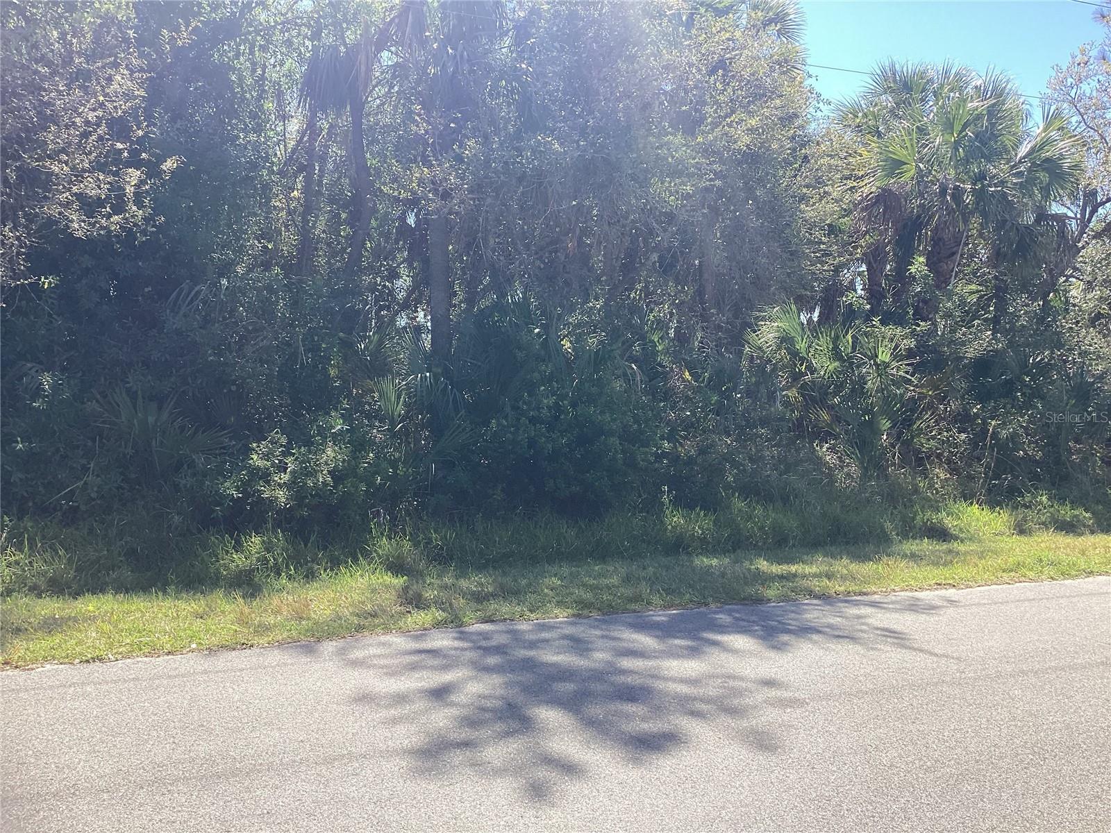 Belleville Ter Property Photo 2