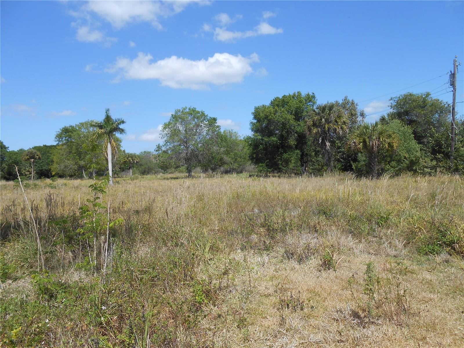 25480 Dundee Rd Property Photo 1