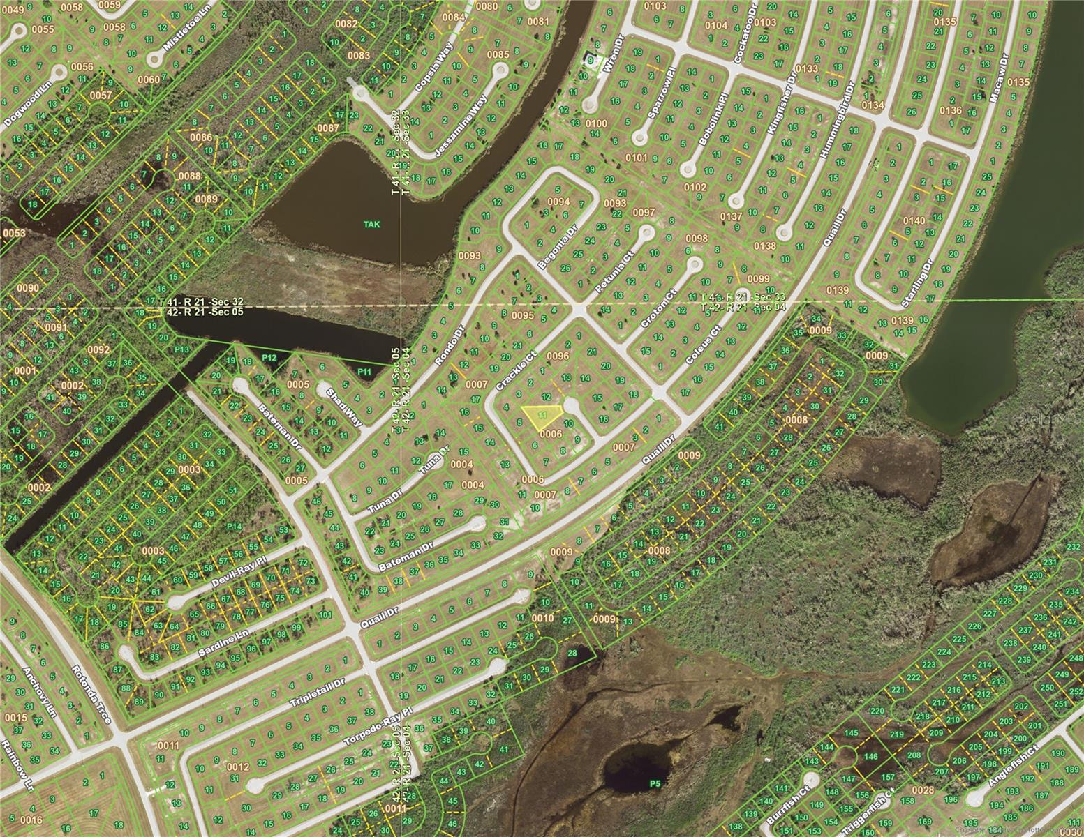 12031 Pilaf Way Property Photo 4
