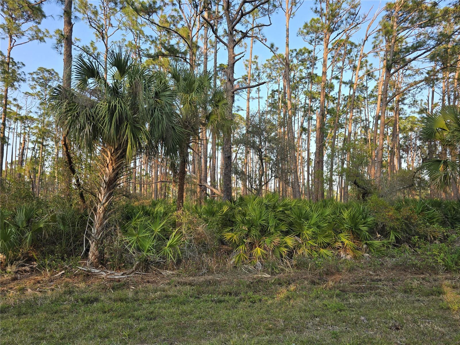 12522 Ranch Ave Property Photo 1