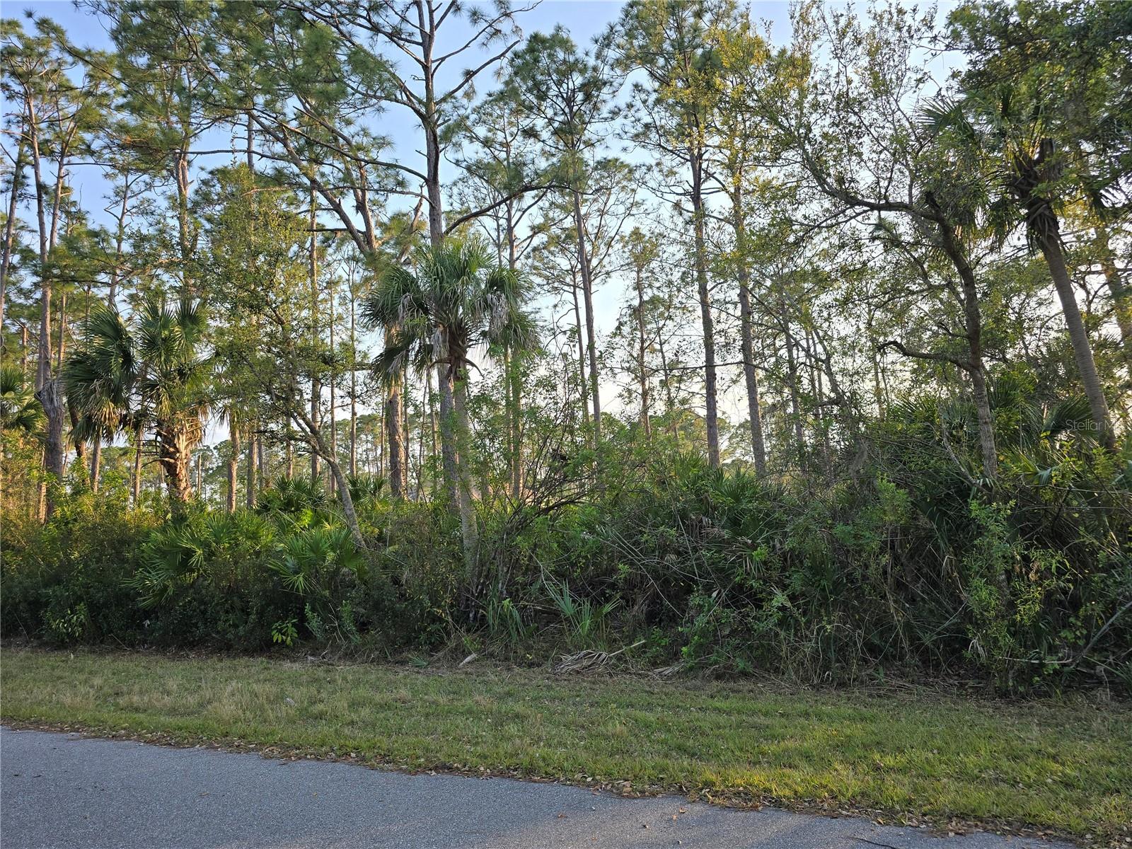12469 Harlow Ave Property Photo 1