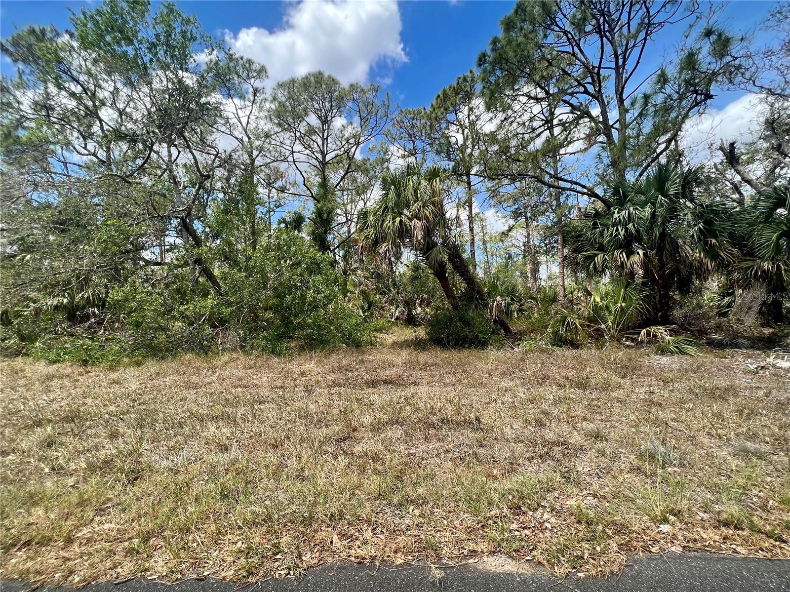 1041 Sherwin St Property Photo 1
