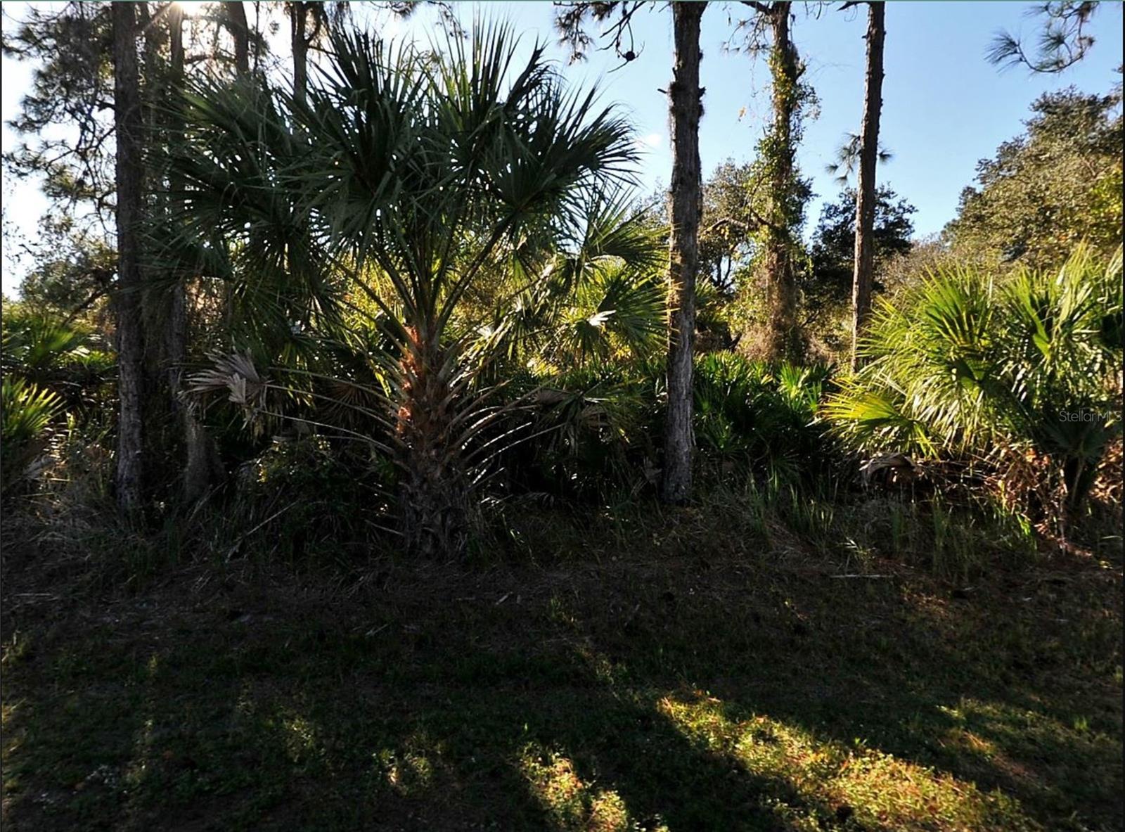 LOT 17 RUIZ ST Property Photo 1